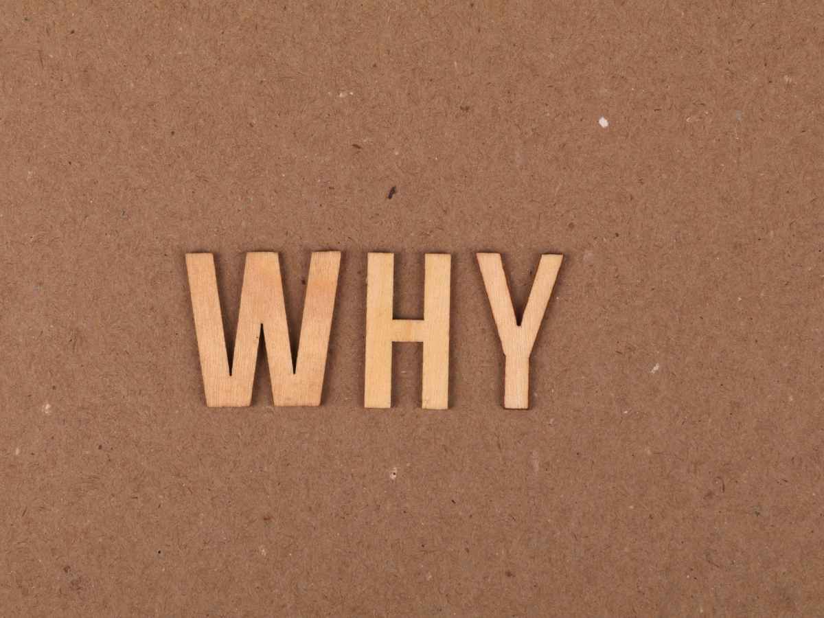 Pourquoi ?